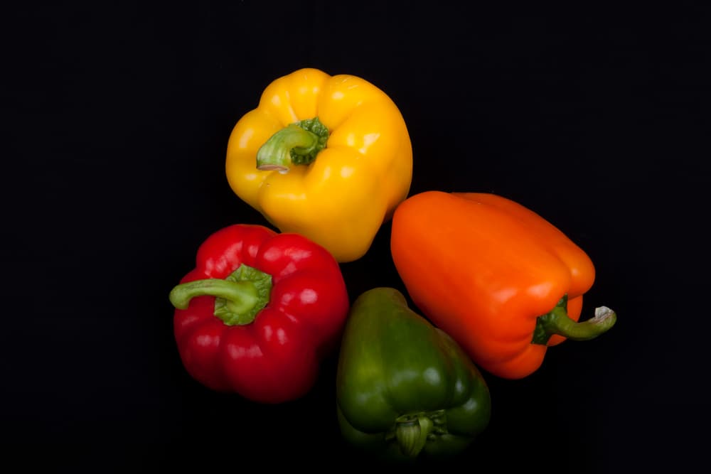 Red,green,orange and yellow color capsicum