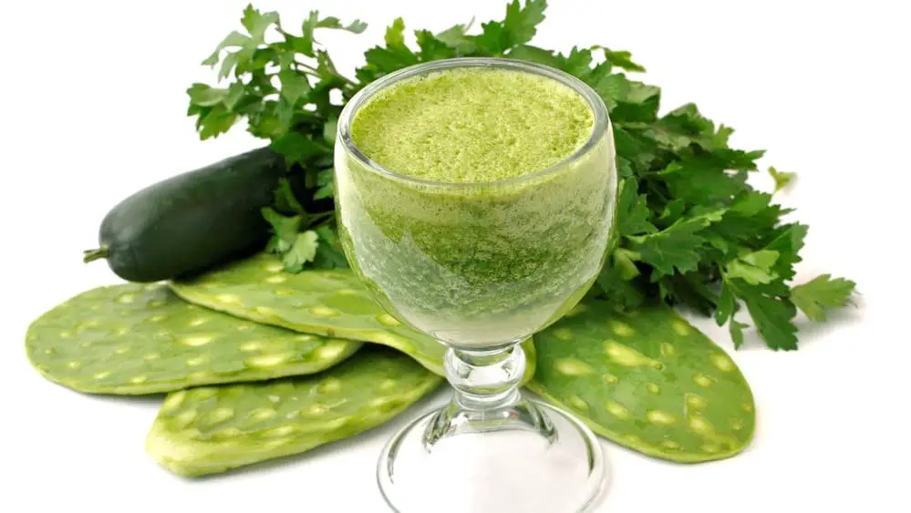 nopal cactus juice,nopal supplement